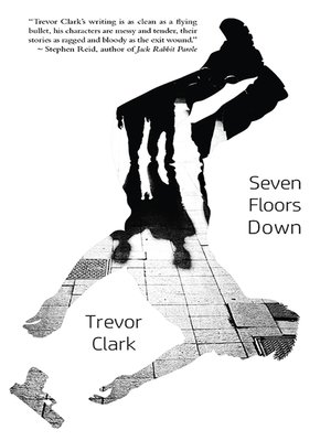 cover image of Seven Floors Down